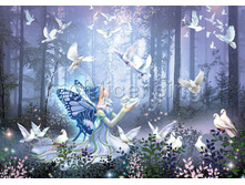 �������� ���