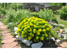 ������� ��������������.