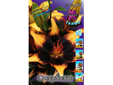 32,42���. �����  ��������(�������� ���� �� 10 ��., ����������� ����� 1��.)���14.jpg