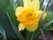 20150516 184404.jpg