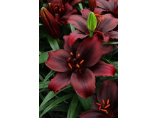 20,34���. �����  ������(��� 10 ��. ���������� ������ 5��.).jpg