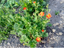 �������� ��������.jpg