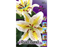 30,29���. �����  ���. ���� ����(�������� ���� �� 10 ��., ����������� ����� 1��.).jpg