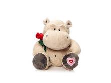 ������� ���� 31 �� - 570 ������