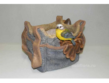 ����� ����� � ������� ��0--8103.jpg