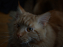 DSC02682.JPG