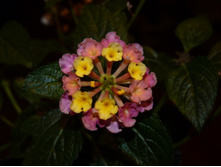 �������.