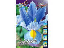 8,63���. ���� ����. ���� �����(���������� ������ ������ ���������� �� 10 ��.).jpg