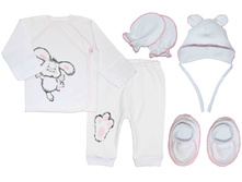 �������� 8020 �������