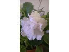 WP 20150512 21 44 10 Pro.jpg