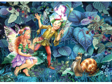 ���, ���� � ������