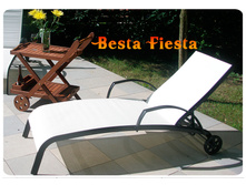 Shez 17A white enl.jpg