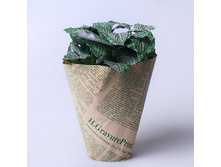 ���������� ������ ������ 22 �� 620253 200�.jpg