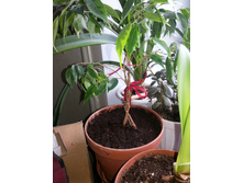 ����� �������.jpg