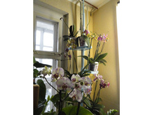 ����������- ������ �������� ...