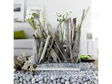 100970604 77316615 e48581ca580d9b42ee6fe4c0b3ae60a8.jpg