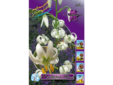 361,05���. �������� ������ (�������� ���� �� 2��, ����������� ����� 1��).jpg