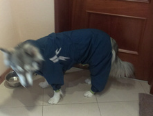 IMAG2556.jpg