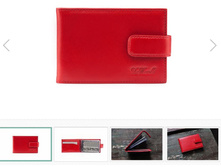 DM-WZ02-K007 ��������� � ��������� � ��������� RED