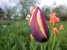 20150516 185244.jpg