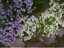 ����� ���������� _�����. � �����.jpg