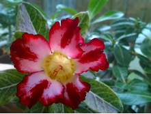 WP 20150515 11 26 27 Pro.jpg