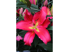 36,68���. ����� ��������(�������� ���� �� 10 ��., ����������� ����� 1��.)���15.jpg