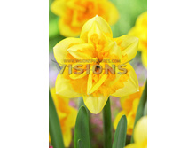 43,22���. ������� ������ ����(�������� ���� �� 5 ��., ����������� ����� 1��.)���15.jpg