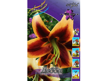 32,42���. �����  �����(�������� ���� �� 10 ��., ����������� ����� 1��.).jpg