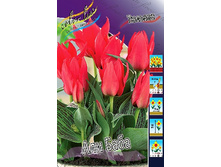 13,24���. ������� ��� ����(��� 10 ��. ���������� ������ 5��.).jpg