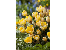 3,93���. ������ ������ (����.)(���������� ������ ������ ���������� �� 15 ��.)���14.jpg