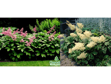 ��������� ����� ��� ������� ���� ���� 200��� � ������� 14��