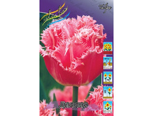 12,23���. ������� ������(��� 10 ��. ���������� ������ 5��.).jpg