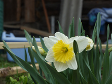 DSC02702.JPG