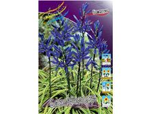 12,23���. �������� ��� ������(��� 10 ��. ���������� ������ 5��.).jpg