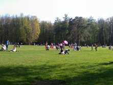 IMAG3664.jpg