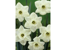 30,56���. ������� �������(�������� ���� �� 7 ��., ����������� ����� 1��.)���14.jpg