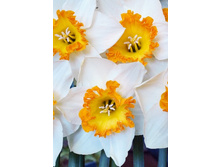 28,09���. ������� �������� ����(��� 10 ��. ���������� ������ 5��.)���15.jpg