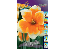 20,16���. ������� ��������(��� 10 ��. ���������� ������ 5��.).jpg