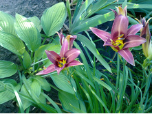 �������� ԣ���� �1 � ����� � ԣ���� �����.jpg