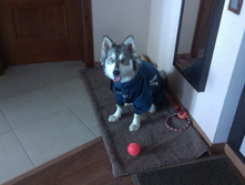 IMAG2543.jpg