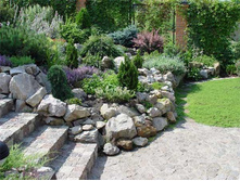 99370916 4278822 1851400 54771941 103.jpg