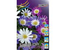 4,36���. ������� ������ �����(���������� ������ ������ ���������� �� 15 ��.).jpg