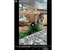 Screenshot 2015-05-19-13-17-51.png