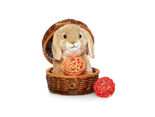 ������ - 482,13 ������