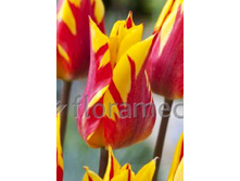 24,63���. ������� ���� ����(��� 10 ��. ���������� ������ 5��.)���14.jpg