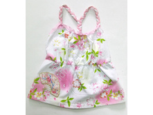 ���. 2068 SDLG.jpg