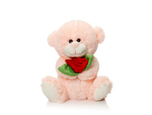 ����� ������ � ����� (�������) 25 �� - 395,46 ������