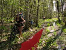 IMG_3551.jpg