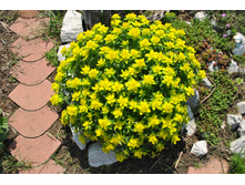 ������� ��������������.